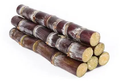 Sugarcane